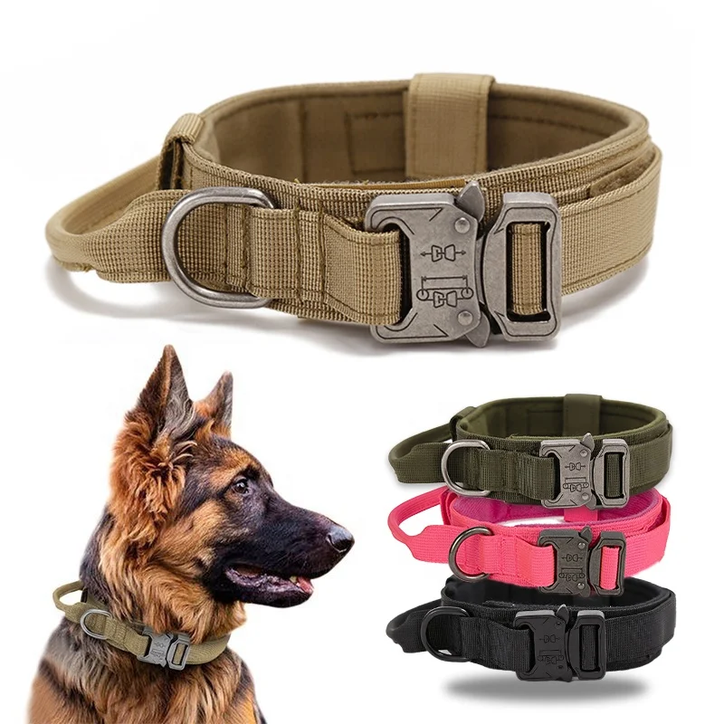 Heavy duty metal buckle collar with handle for training