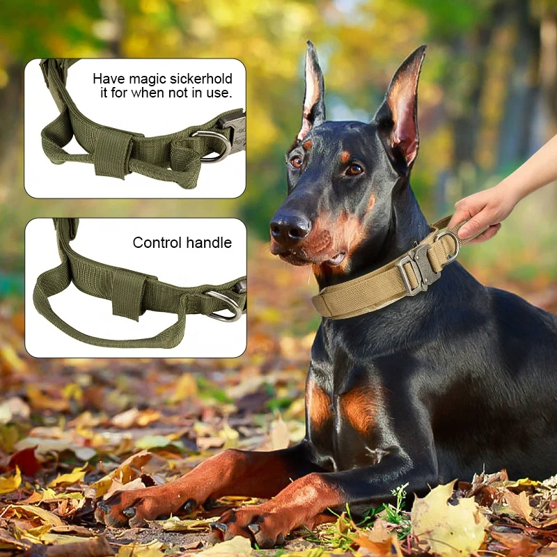 Heavy duty metal buckle collar with handle for training