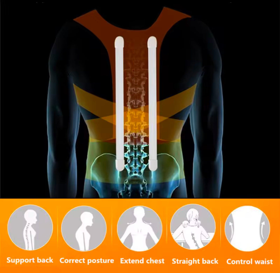 Back Brace Posture Support Fully Adjustable Brace - Improve Posture Pain Free Provides Lumbar Support