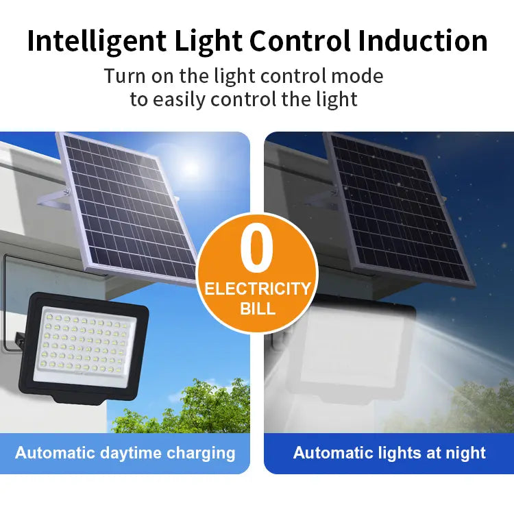 Motion Sensor Solar Floodlight