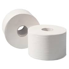 FIG Sugarcane Micro Mini 2-Ply Toilet Rolls – 24 Rolls