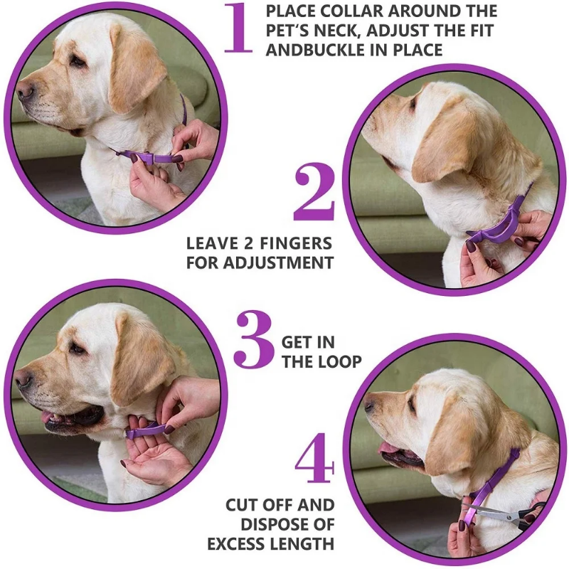 Calming collar to reduce pet anxiety - long lasting effects