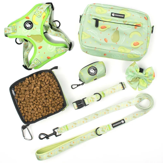 Dog walking kit with harness, treat bag, leash and more!