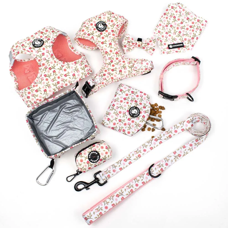 Dog walking kit with harness, treat bag, leash and more!