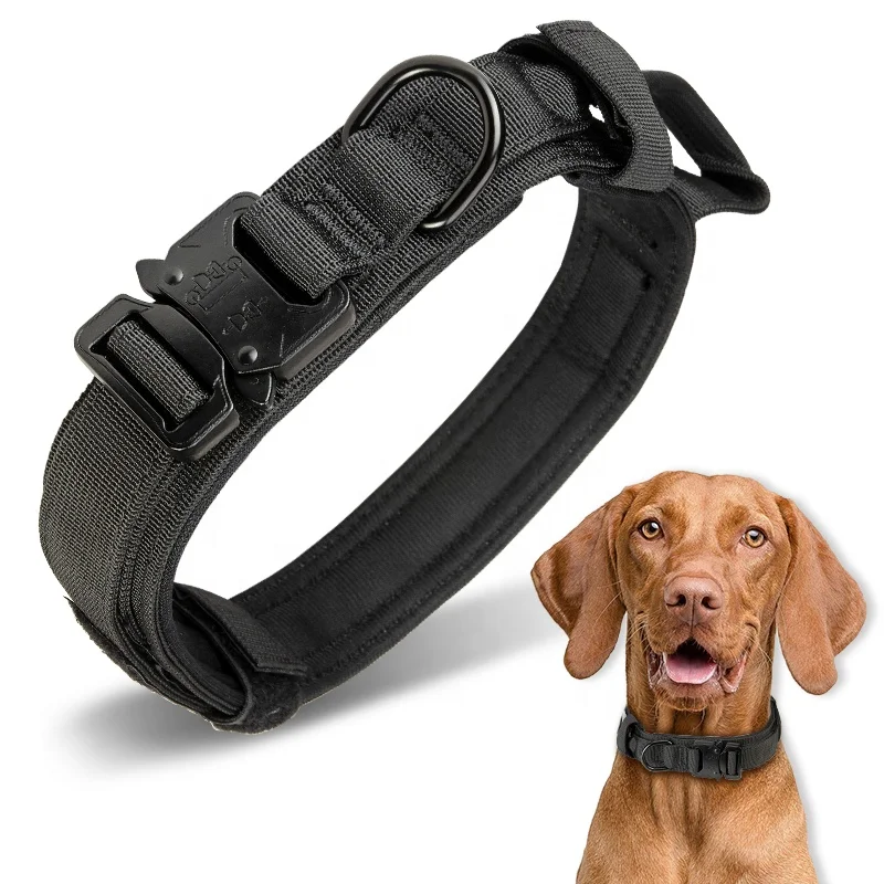 Heavy duty metal buckle collar with  handle for training