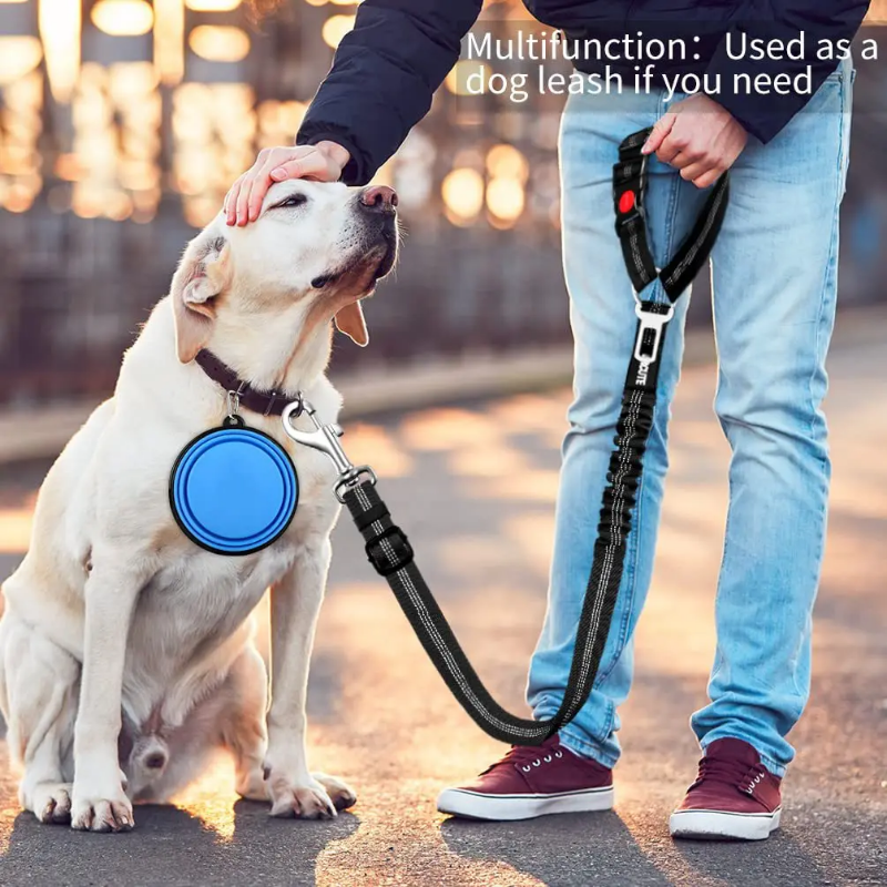 Multi functional bungee seatbelt and leash for pets