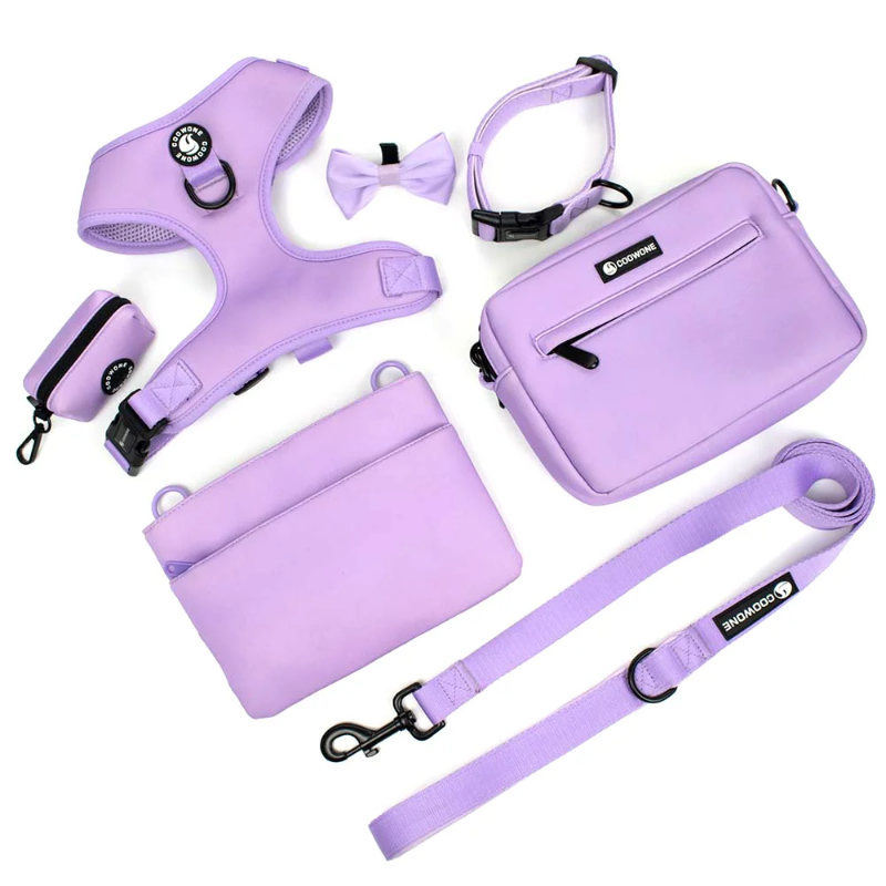 Dog walking kit with harness, treat bag, leash and more!