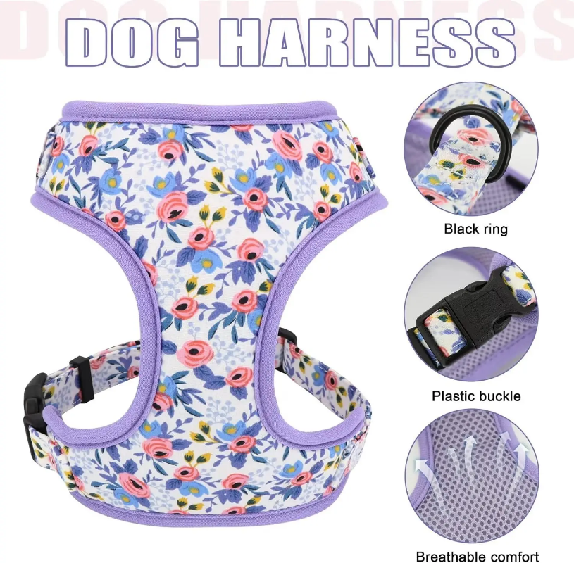 Floral dog leash and harness - 3 sizes available