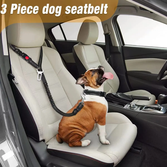 Multi functional bungee seatbelt and leash for pets