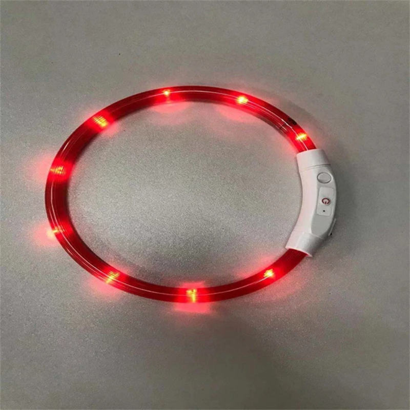 Luminous LED light collar - USB rechargeable