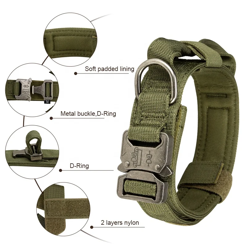 Heavy duty metal buckle collar with  handle for training