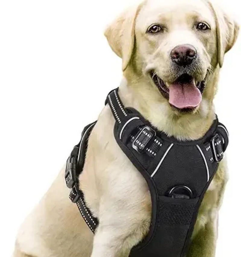 Polyester, breathable and durable harness for strong dogs