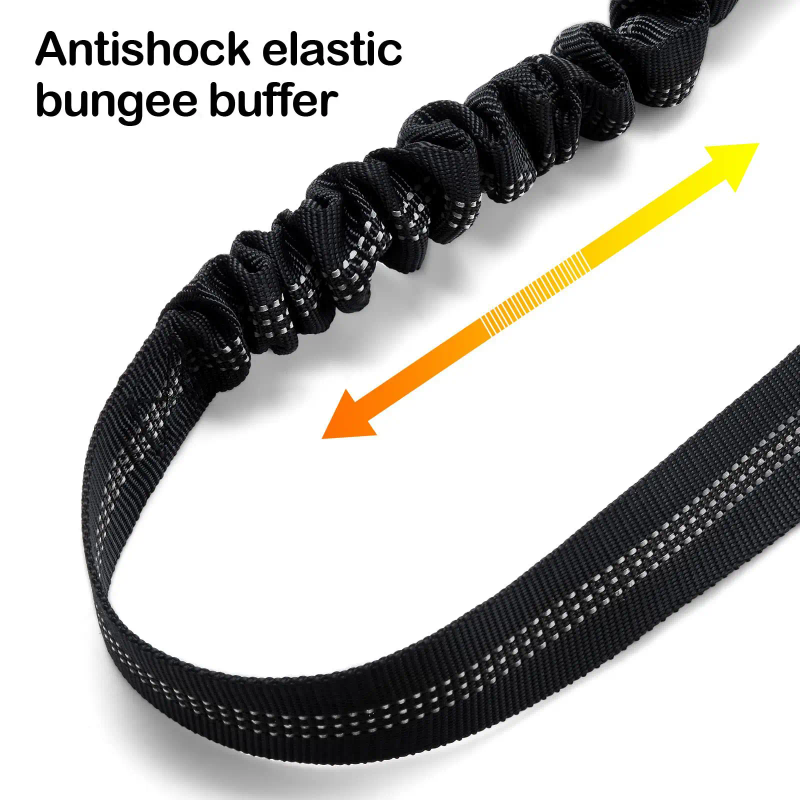 Multi functional bungee seatbelt and leash for pets