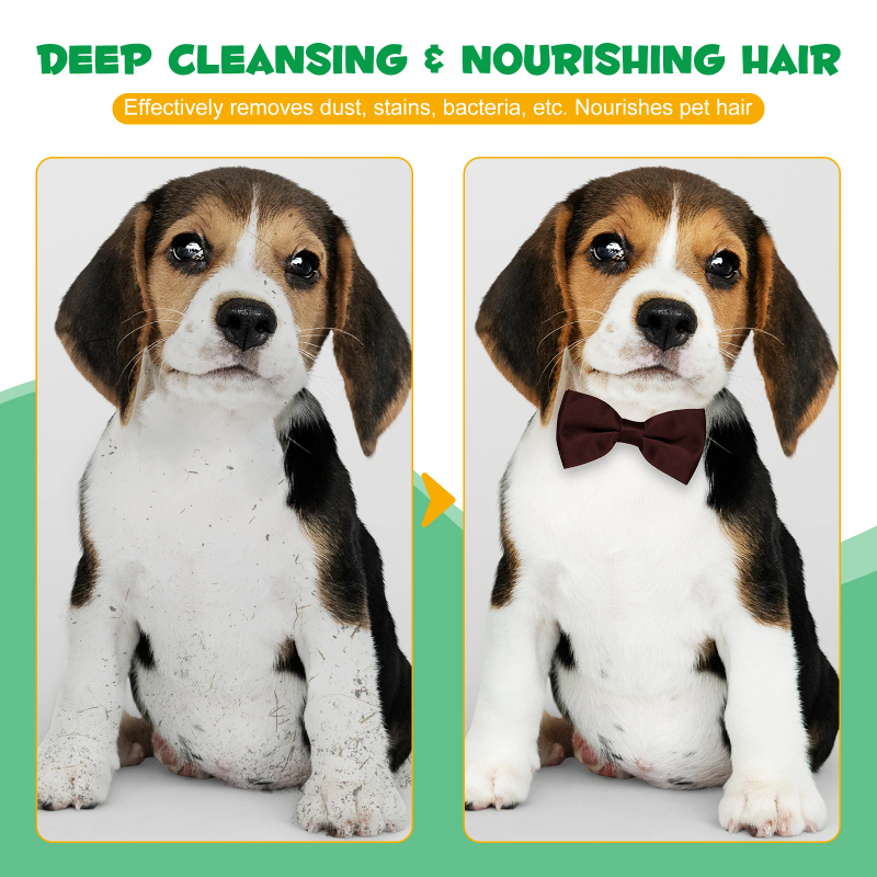 Disposable hypoallergenic pet grooming gloves