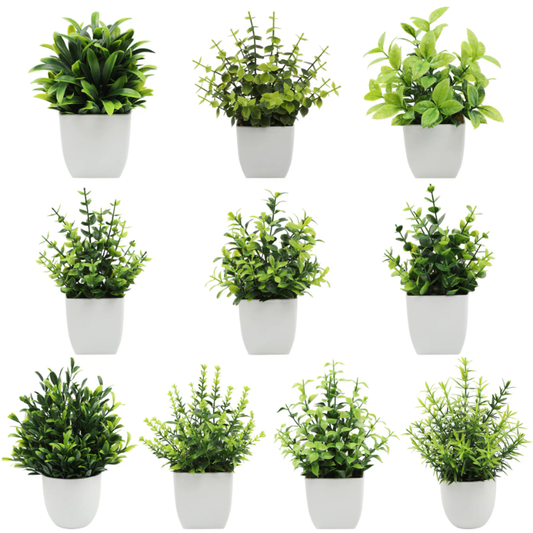 Mini artificial eucalyptus plants - beautiful greenery for home spaces