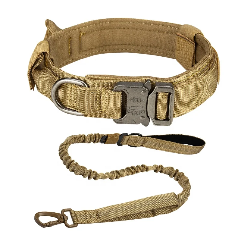 Heavy duty metal buckle collar with  handle for training