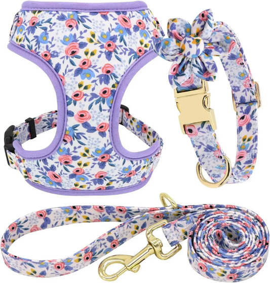 Floral dog leash and harness - 3 sizes available