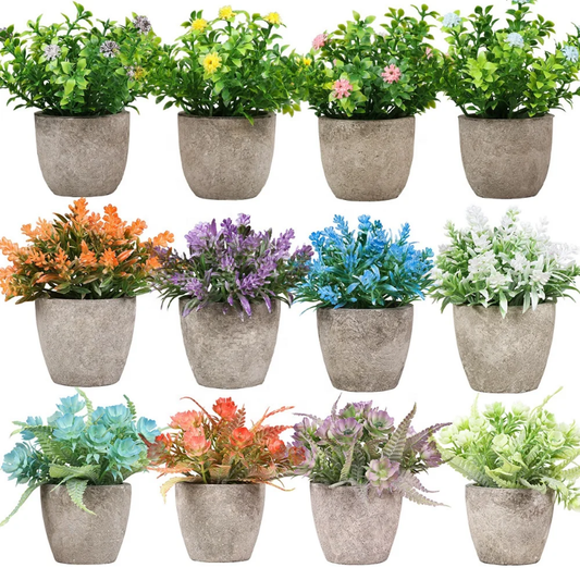 Small coloured decorative plants in a ceramic clay pot