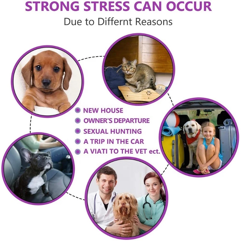 Calming collar to reduce pet anxiety - long lasting effects