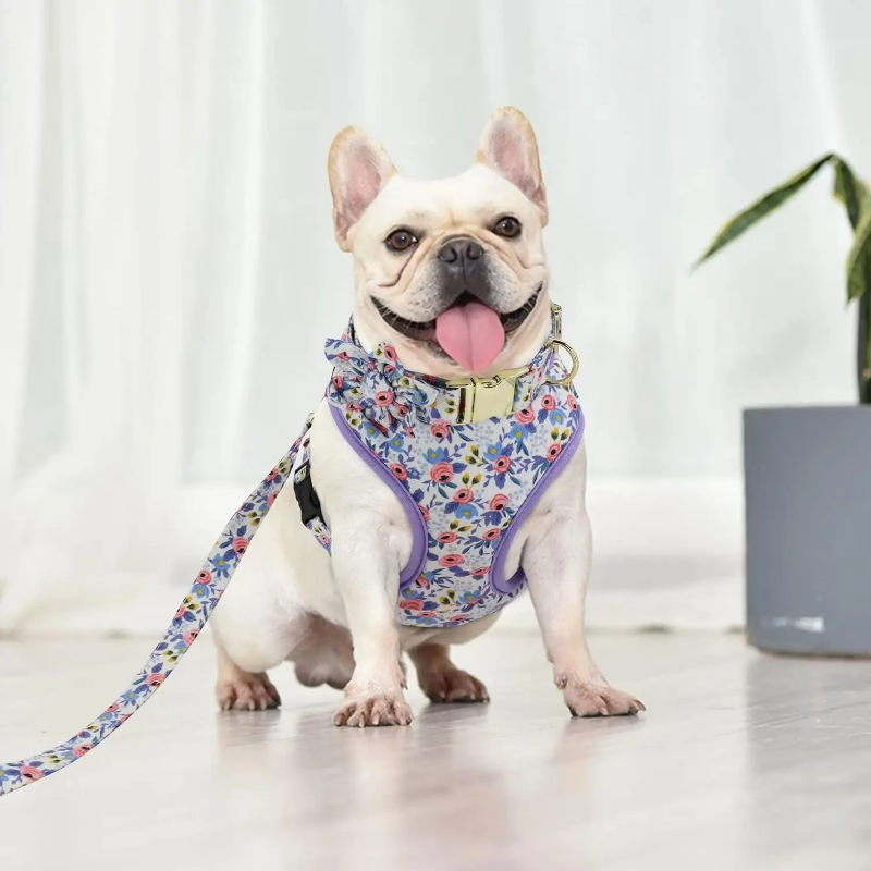 Floral dog leash and harness - 3 sizes available