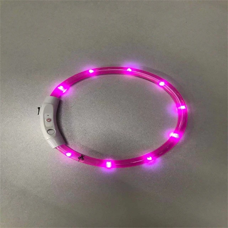 Luminous LED light collar - USB rechargeable