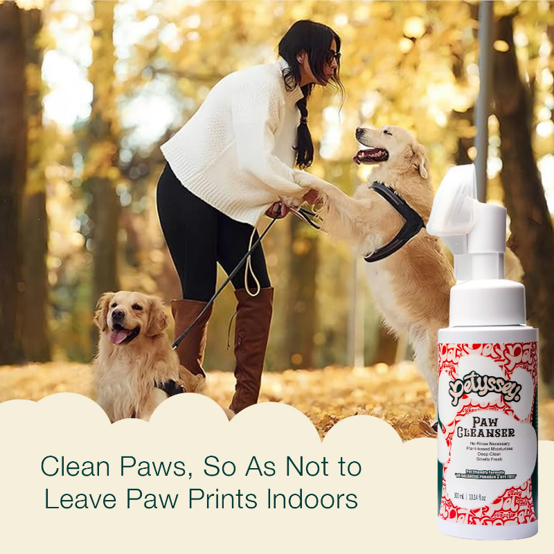 Fast foam pet paw cleaning tool - soothing cleaning balm