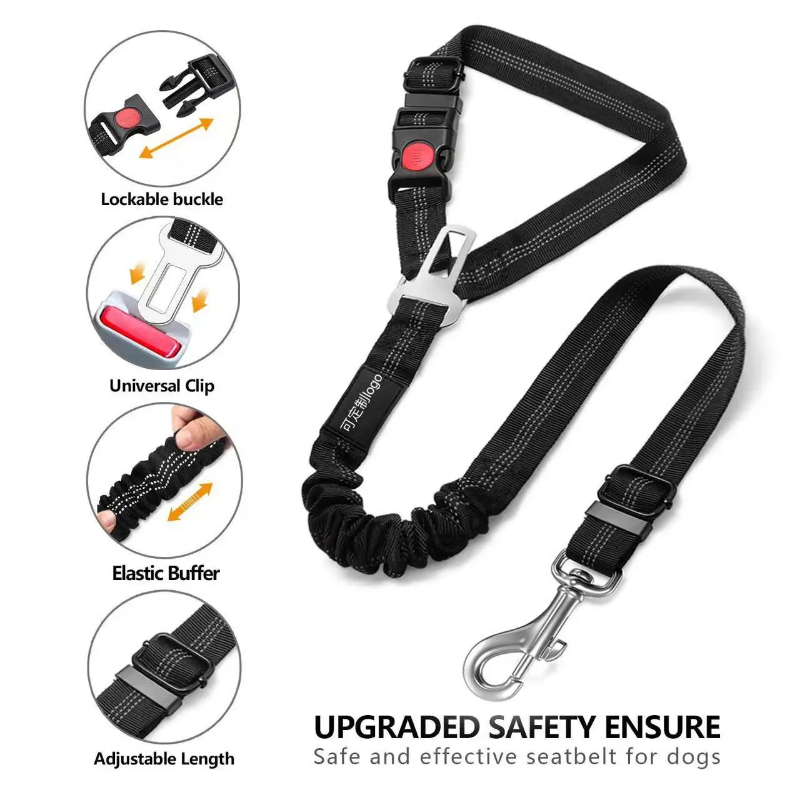 Multi functional bungee seatbelt and leash for pets